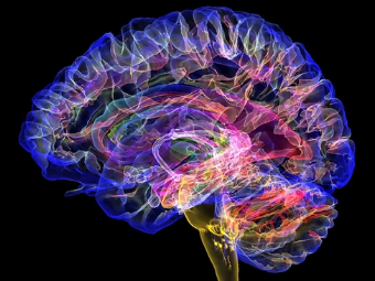 骚货12p大脑植入物有助于严重头部损伤恢复
